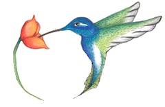 Logo Plataforma ASOCIACION COLIBRI DE ESCLEROSIS MÚLTIPLE